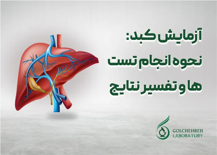 آزمایش کبد: نحوه انجام تست ها و تفسیر نتایج