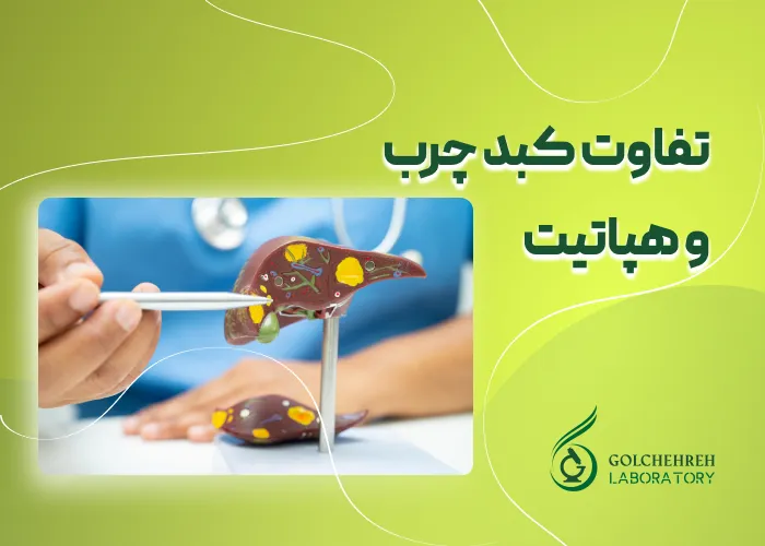 تفاوت کبد چرب و هپاتیت نوع B و C
