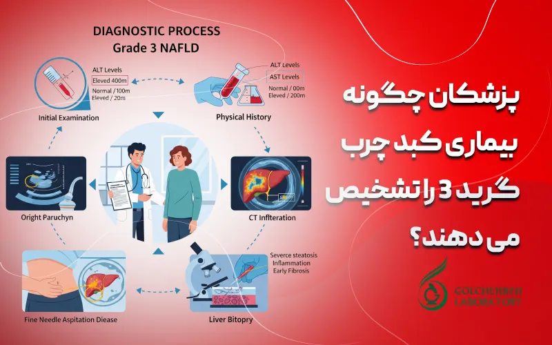 نحوه تشخیص بیماری کبد چرب گرید 3
