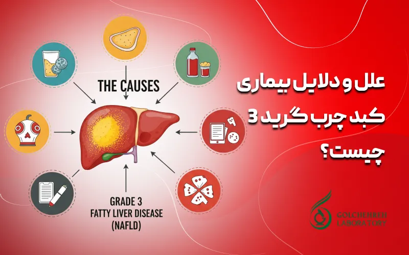 علل و دلایل بیماری کبد چرب گرید 3 چیست؟