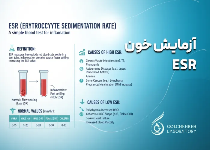آزمایش خون ESR: انواع، دلایل، نحوه انجام و تفسیر نتایج