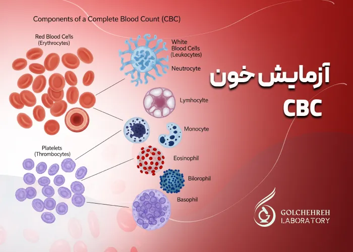 آزمایش خون CBC: آمادگی، ضرورت و تفسیر نتایج
