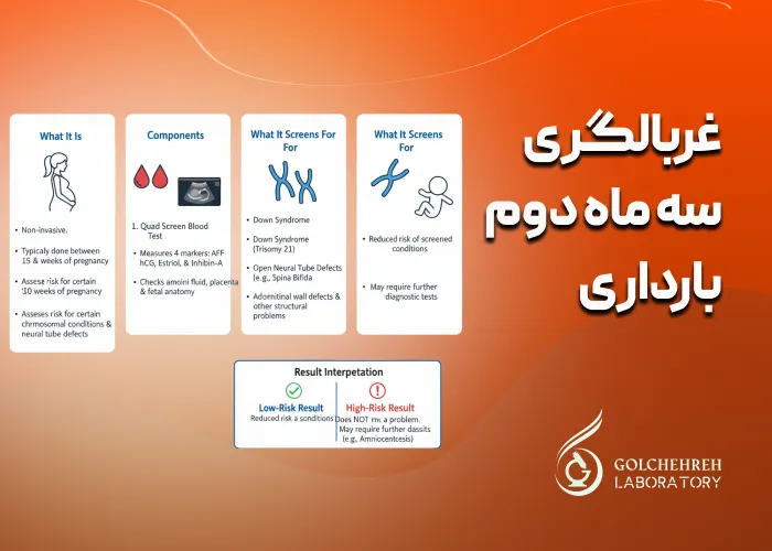 غربالگری سه ماهه دوم بارداری: آزمایش ها و زمان انجام